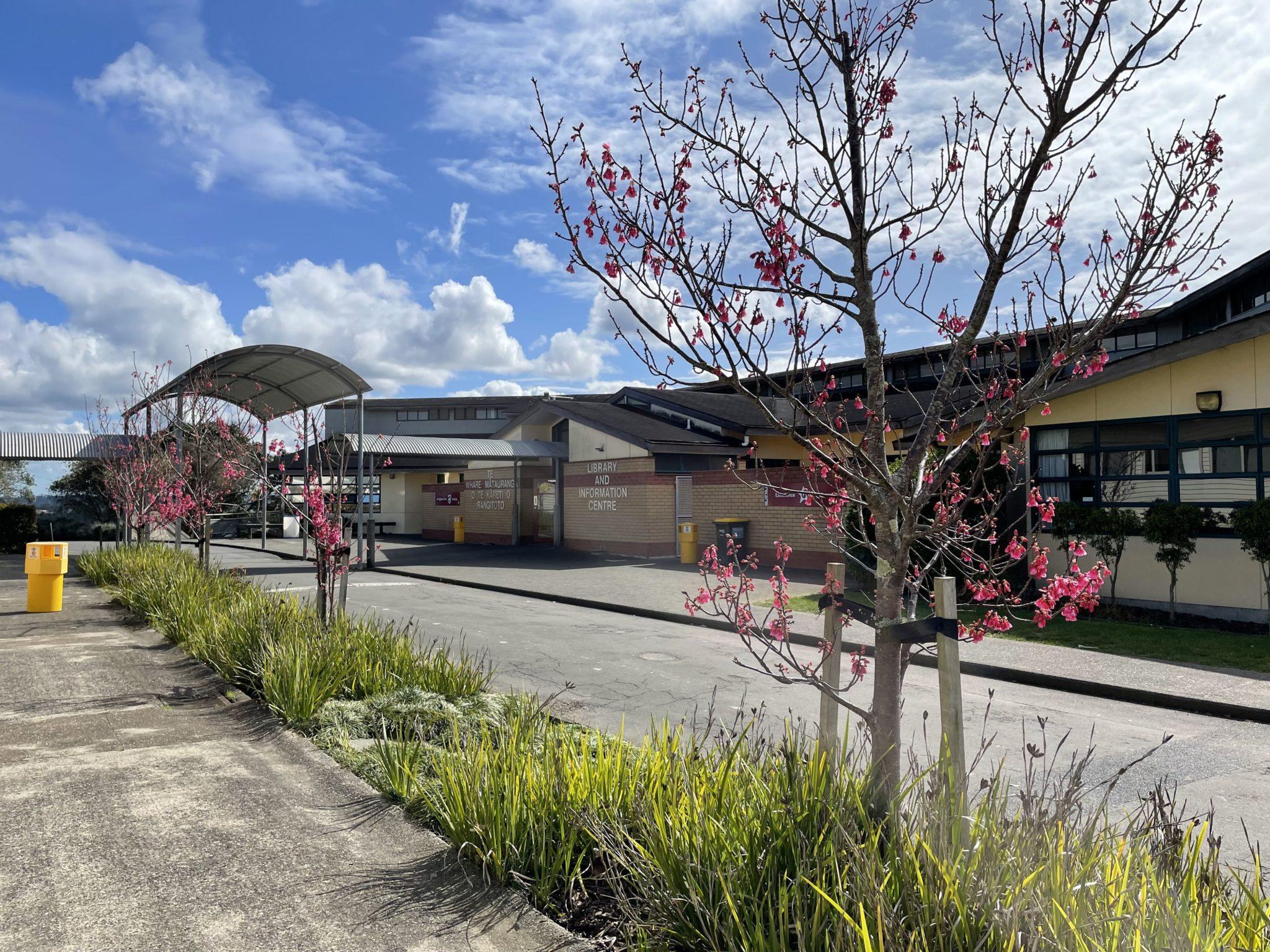 Rangitoto College 紐西蘭中學