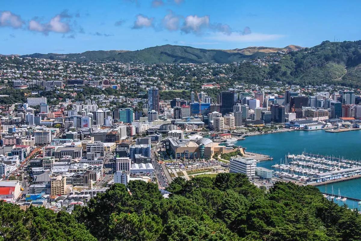 Wellington 威靈頓紐西蘭中小學
