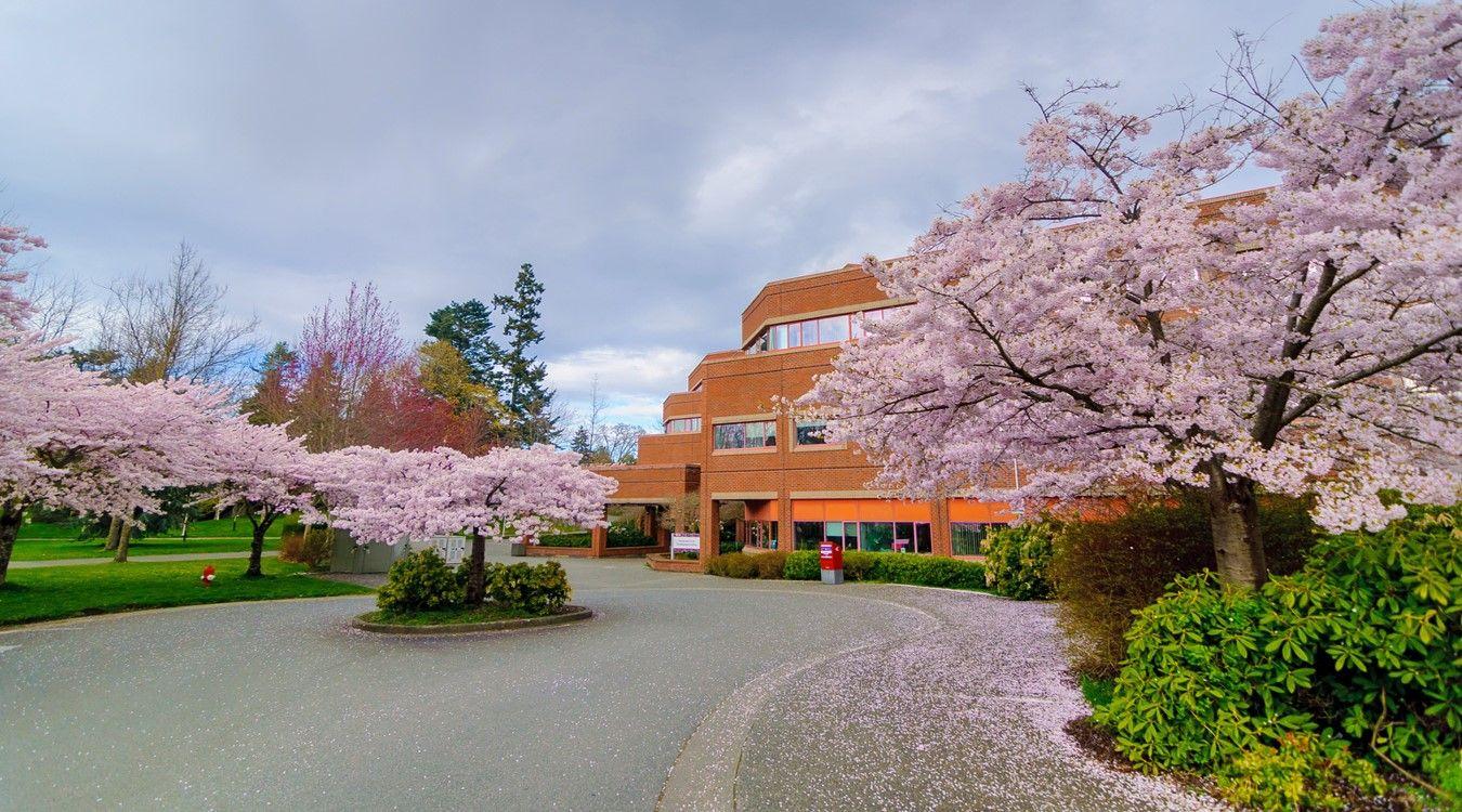 University of Victoria UVic 維多利亞大學
