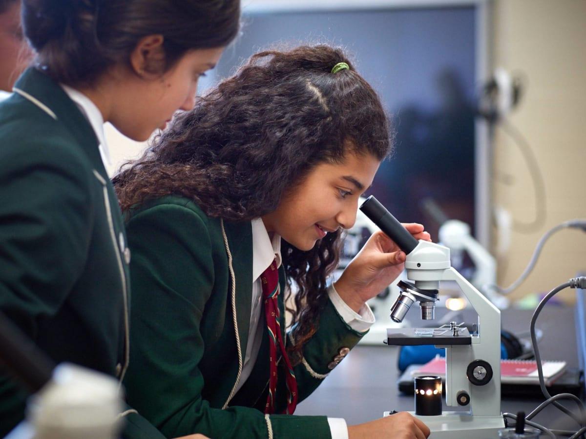 Bayview Glen School 教室、科學實驗室與藝術學習設施